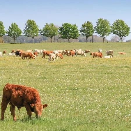 Ferienhaus Fischerdorf Zirchow